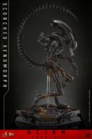 Hot Toys Alien Romulus Scorched Alien MMS784