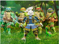 Teenage Mutant Ninja Turtles x Usagi Yojimbo Set of 5 Action Figures