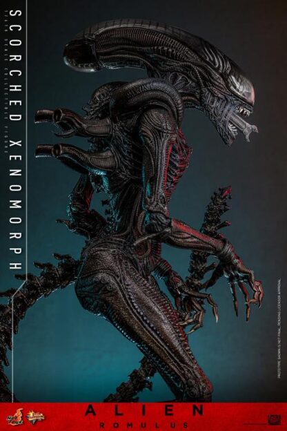 Hot Toys Alien Romulus Scorched Alien MMS784