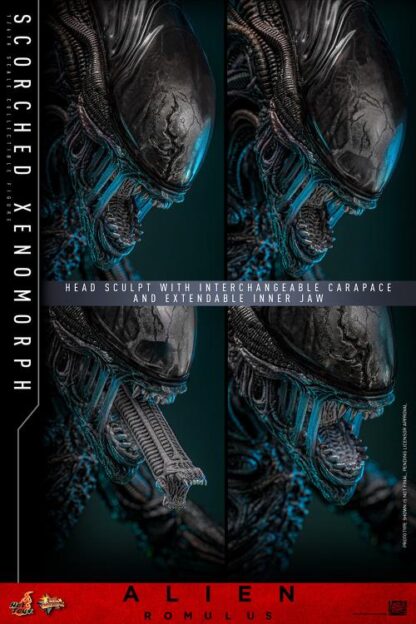 Hot Toys Alien Romulus Scorched Alien MMS784